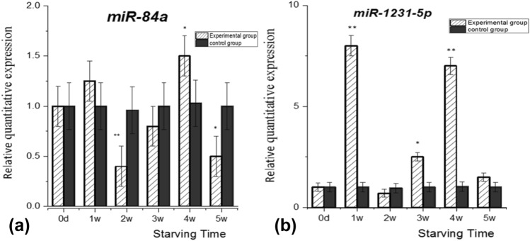 Target miRNA identification for the LPL gene in large yellow croaker (Larimichthys crocea).
