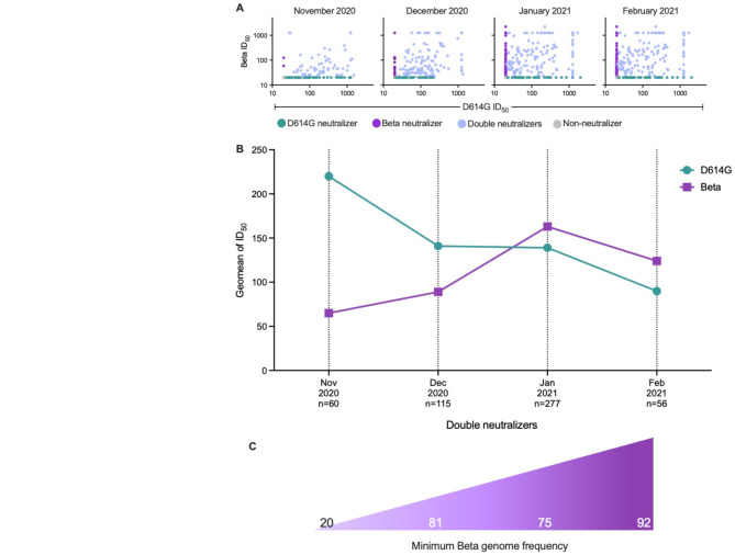 Population shift in antibody immunity following the emergence of a SARS-CoV-2 variant of concern.