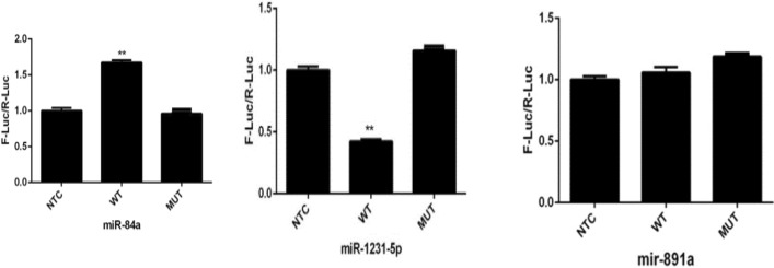 Target miRNA identification for the LPL gene in large yellow croaker (Larimichthys crocea).