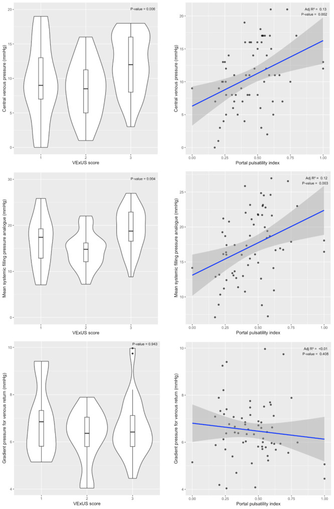 Relationship between point-of-care ultrasound venous congestion assessment parameters, intravenous pressure, and venous return: a post-hoc analysis of a prospective cohort study.