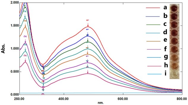 Simplified and economic measurement of glyoxalase I activity using 2,4-dinitrophenylhydrazine: A valuable tool for researchers.
