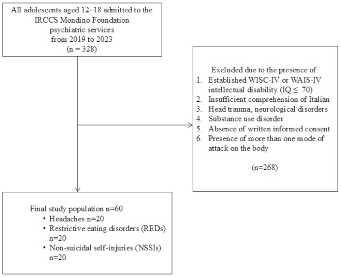 Look at My Body: It Tells of Suffering-Understanding Psychiatric Pathology in Patients Who Suffer from Headaches, Restrictive Eating Disorders, or Non-Suicidal Self-Injuries (NSSIs).