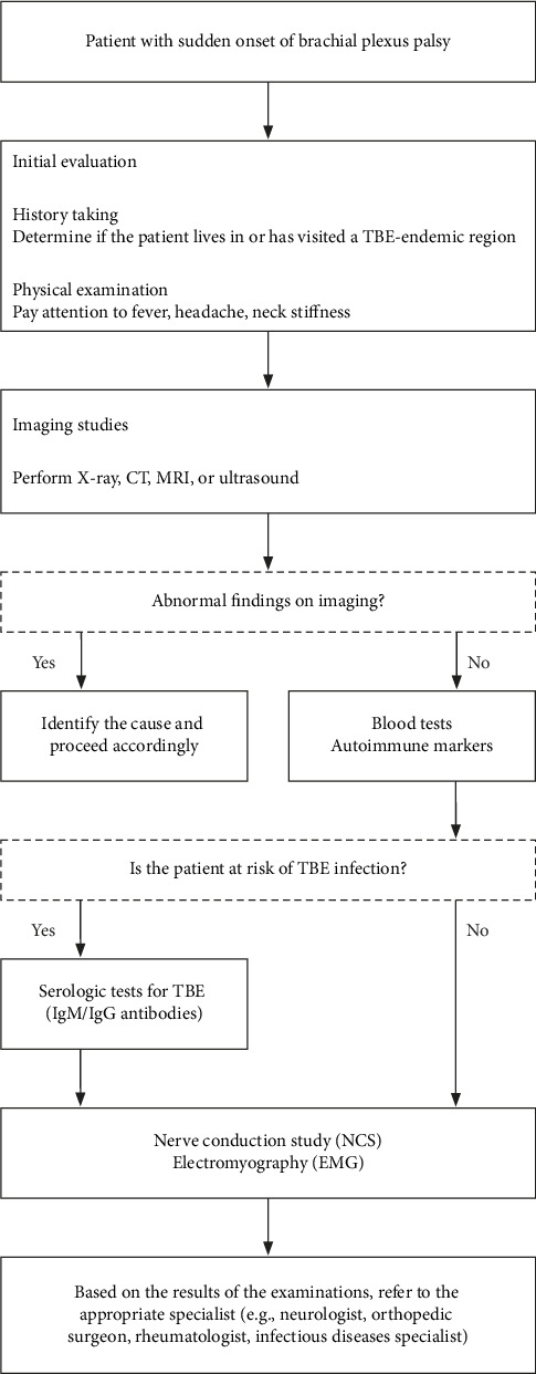 Tick-Borne Encephalitis Presenting as Brachial Plexus Injury: A Case Report.