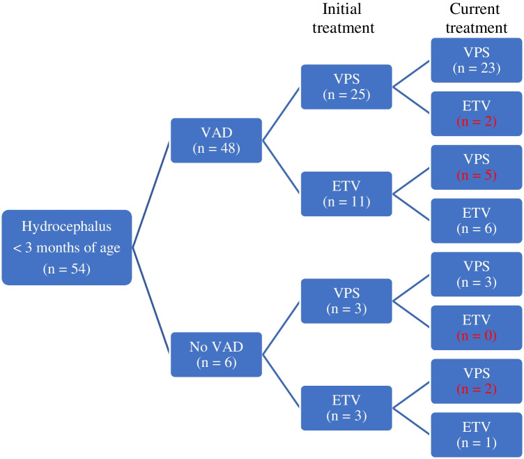 Managing hydrocephalus in 54 infants under 3 months of age: A single center cohort study.