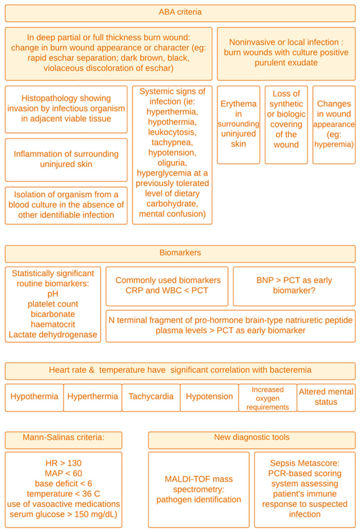 Early Detection, Diagnosis, Prevention, and Treatment of Infection to Avoid Sepsis and Septic Shock in Severely Burned Patients: A Narrative Review.