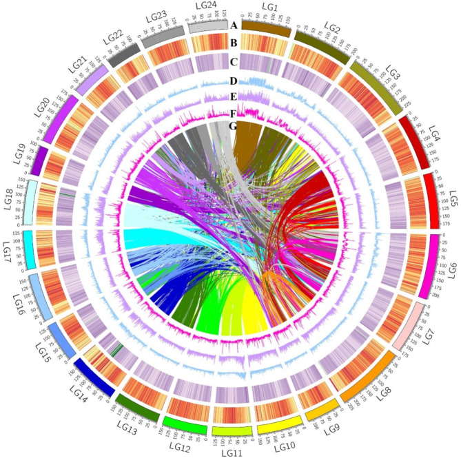 Whole genome re-sequencing in 437 tobacco germplasms identifies plant height candidate genes.