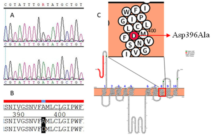 A Nonsynonymous Single-nucleotide Polymorphism in <i>SLC24A5</i> Regulates Feather Pigment Deposition in Chinese Yellow Quail.