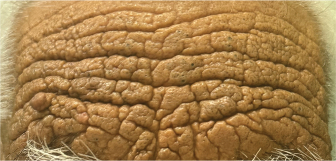 Abstract Image