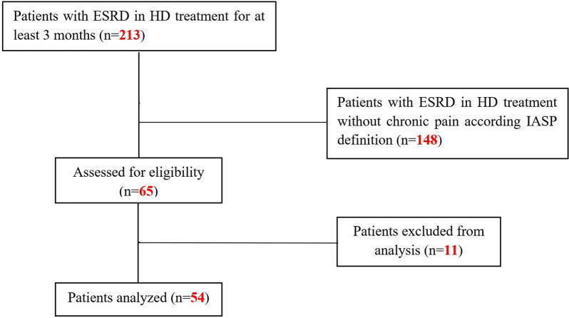 Exploring Chronic Pain in Hemodialysis Patients: An Observational Study Based on the New IASP Classification for ICD-11.