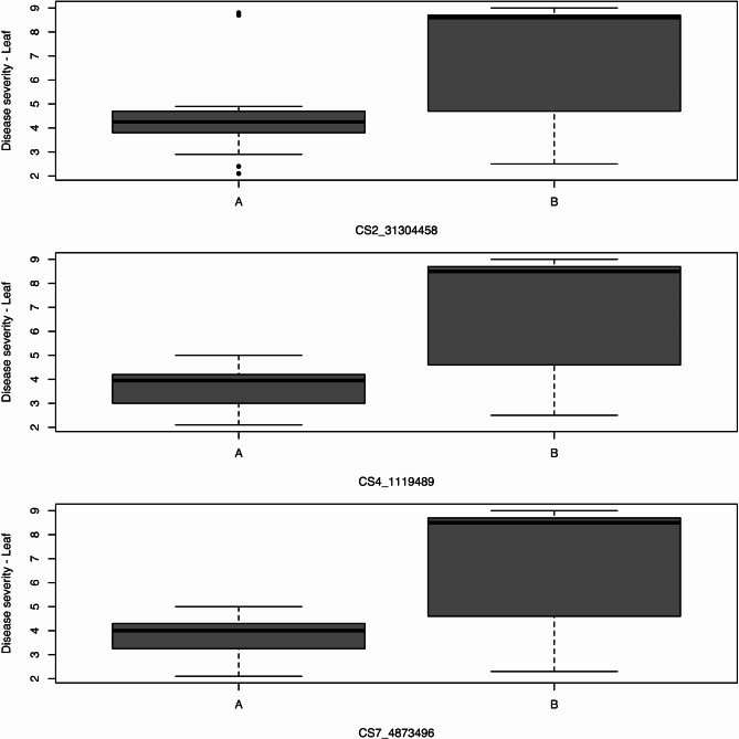 Extreme-phenotype genome-wide association study (XP-GWAS) of powdery mildew race 2 W tolerance in the USDA Citrullus germplasm collection.