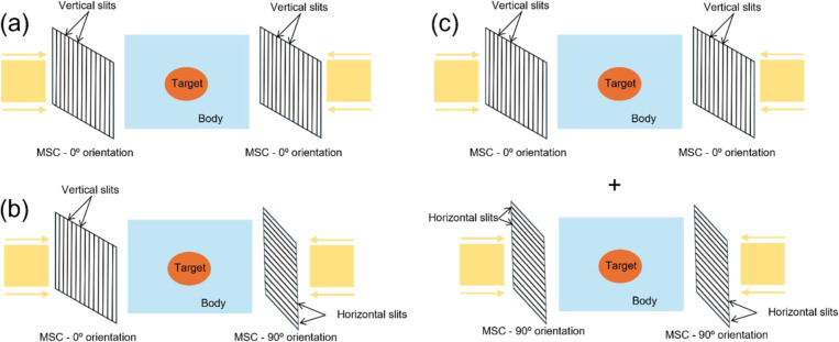 Minibeam-pLATTICE: A novel proton LATTICE modality using minibeams.