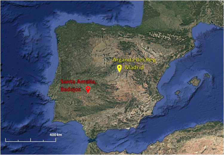 Abstract Image