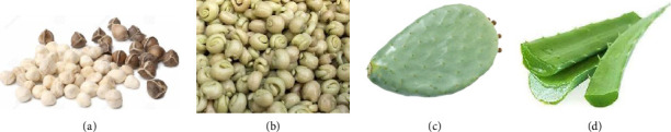 Biochemical Characterization and Antimicrobial Properties of Extracts From Four Food Plants Traditionally Used to Improve Drinking Water Quality in Rural Areas of Burkina Faso.