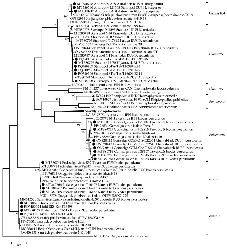 Real-Time Polymerase Chain Reaction Systems for Detection and Differentiation of Unclassified Viruses of the <i>Phenuiviridae</i> Family.