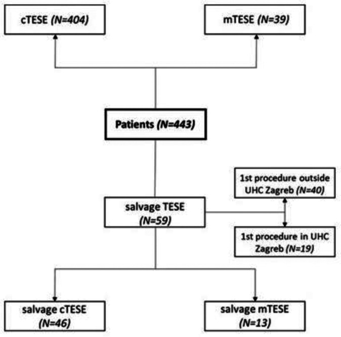 Testicular tissue bank: ten years of testicular tissue cryopreservation in Croatia.