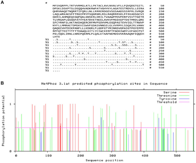 <i>In Silico</i> Analysis and Characterization of the Immunogenicity of <i>Toxoplasma gondii</i> Rhoptry Protein 18.