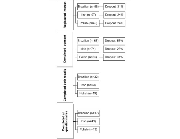Expansion and Assessment of a Web-Based 24-Hour Dietary Recall Tool, Foodbook24, for Use Among Diverse Populations Living in Ireland: Comparative Analysis.
