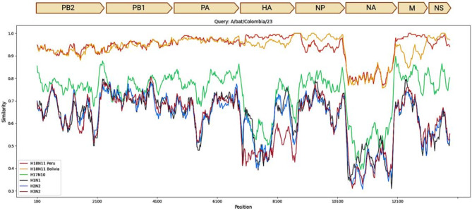 Genomics of novel influenza A virus (H18N12) in bats, Caribe Colombia.