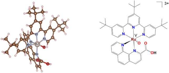 Carboxylate and coordination influence on the formation of an active Ru<sup>V</sup> Oxo species.