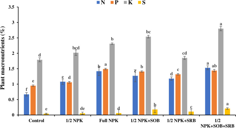 Redox cycling of sulfur via microbes in soil boosts the bioavailability of nutrients to Brassica napus.