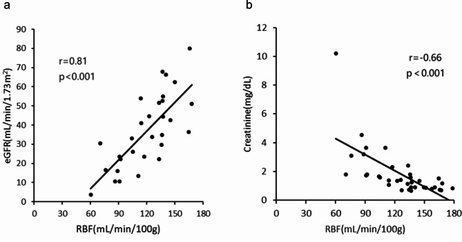 Relationship between renal oxidative stress levels and disease severity in patients with chronic kidney disease assessed by [Cu-64]ATSM PET/MRI.
