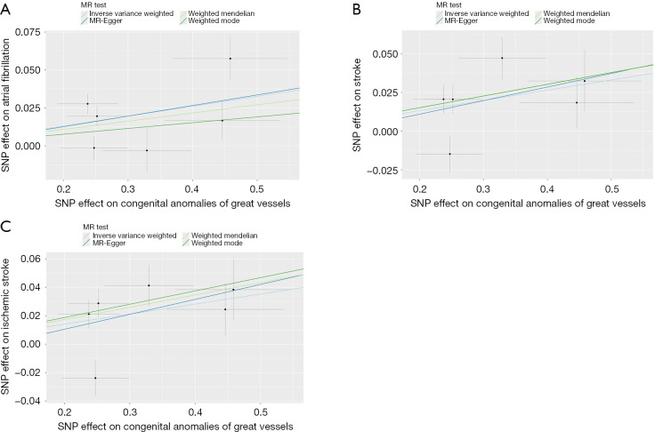 Exploring the causal association between congenital heart disease and stroke based on two-sample Mendelian randomization.
