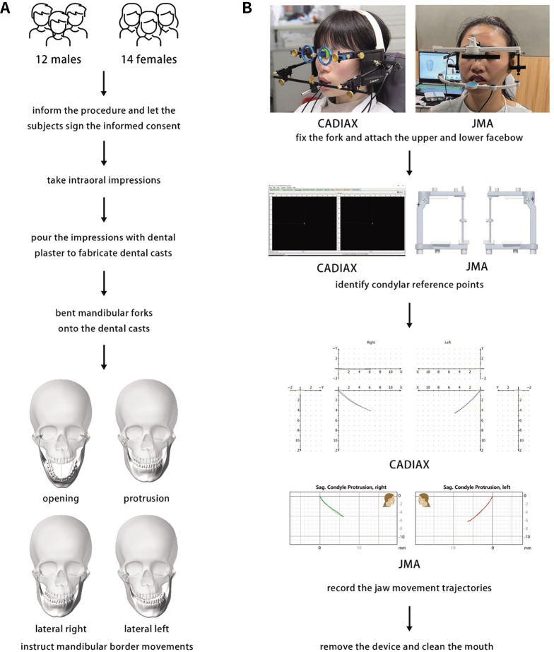 Comparison of the accuracy of an ultrasonic-based jaw tracking device with conventional electronic tracking device.
