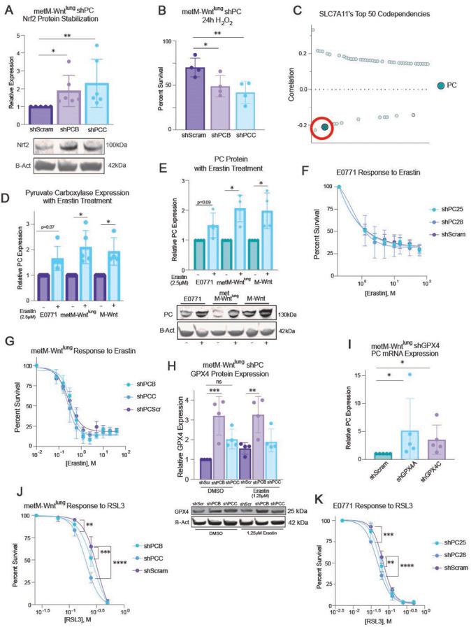 Glutathione peroxidase 4 (GPX4) and obesity interact to impact tumor progression and treatment response in triple negative breast cancer.