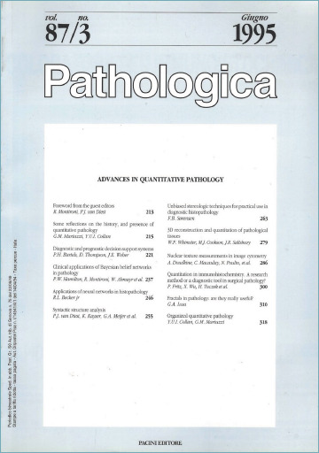 Digital and computational transition in the pathology lab: when did it start?