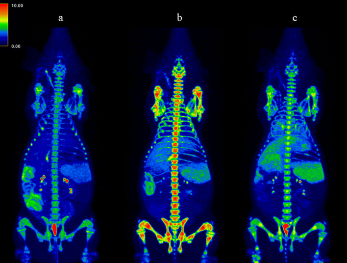 Repeated positron emission tomography tracing neutrophil elastase in a porcine intensive-care sepsis model.