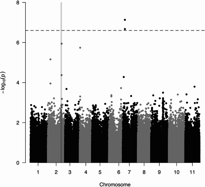 Extreme-phenotype genome-wide association study (XP-GWAS) of powdery mildew race 2 W tolerance in the USDA Citrullus germplasm collection.