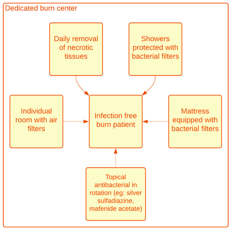 Early Detection, Diagnosis, Prevention, and Treatment of Infection to Avoid Sepsis and Septic Shock in Severely Burned Patients: A Narrative Review.