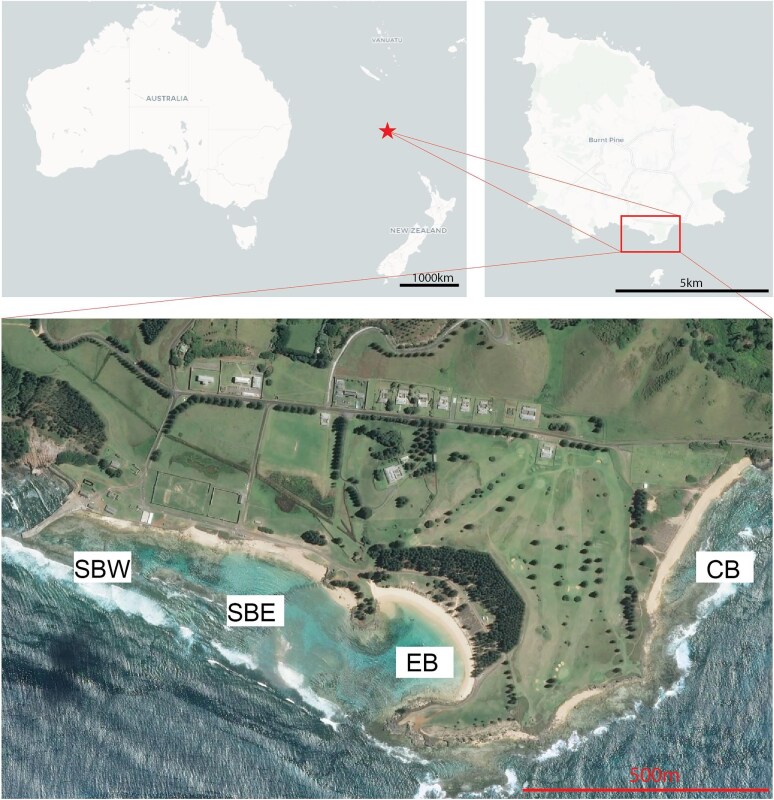 Anthropogenic Impacts on Coral-Algal Interactions of the Subtropical Lagoonal Reef, Norfolk Island.