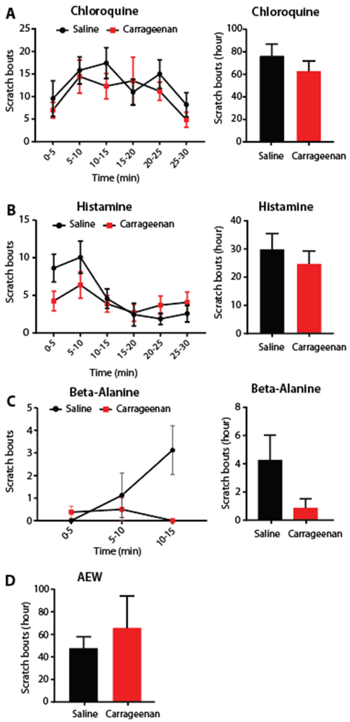 Acetone-Ether-Water Mouse Model of Persistent Itch Fully Resolves Without Latent Pruritic or Cross-Modality Priming.