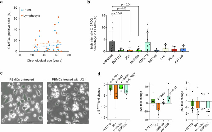 Senolytic compounds reduce epigenetic age of blood samples in vitro.