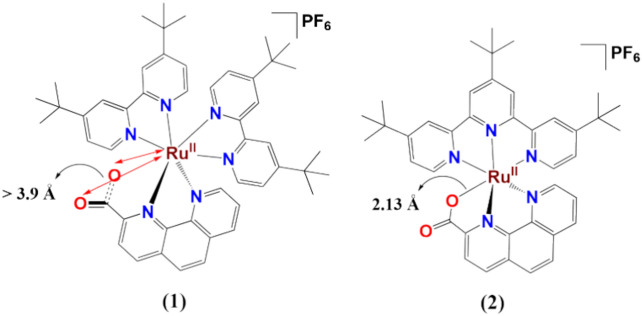 Carboxylate and coordination influence on the formation of an active Ru<sup>V</sup> Oxo species.