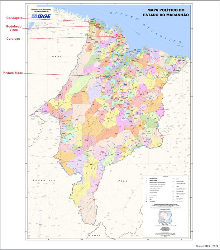 TREATMENT OF PATIENTS WITH GIANT CELL BONE TUMOR IN NORTHERN BRAZIL, IN 2020 AND 2021.