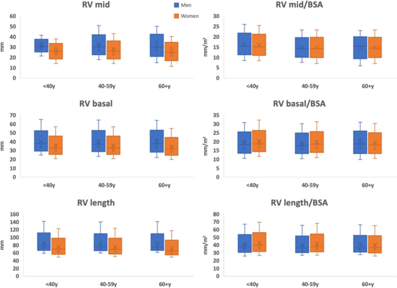 One size doesn't fit all: exploring the influence of body size, age, and sex on right ventricle size measurements.