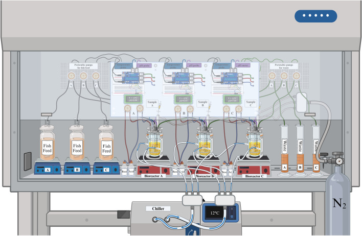 Understanding the transfer and persistence of antimicrobial resistance in aquaculture using a model teleost gut system.