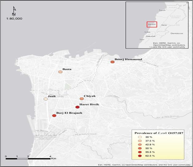 Identification of <i>mcr-2</i> and <i>mcr-3</i> Genes in Colistin-Resistant <i>E. coli</i> O157:H7 Isolated From Raw Meat Samples in Beirut, Lebanon.
