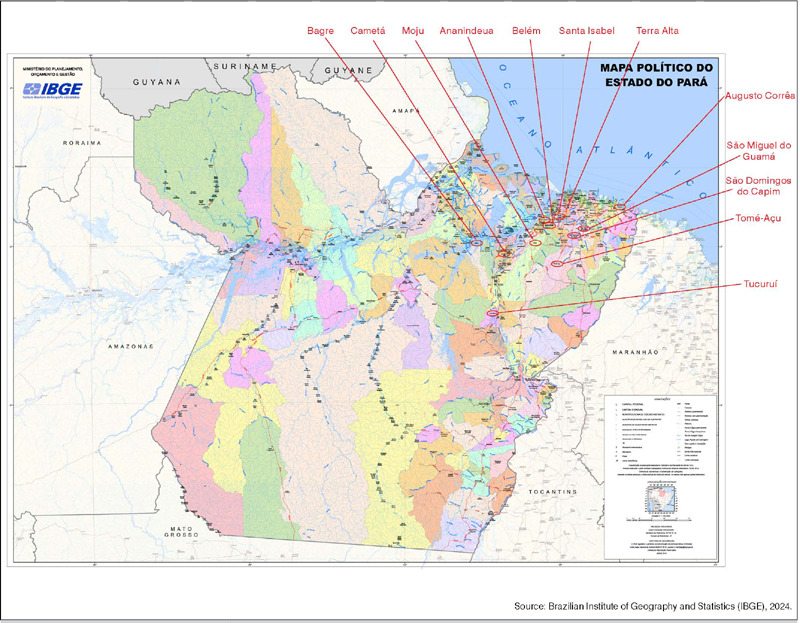 TREATMENT OF PATIENTS WITH GIANT CELL BONE TUMOR IN NORTHERN BRAZIL, IN 2020 AND 2021.