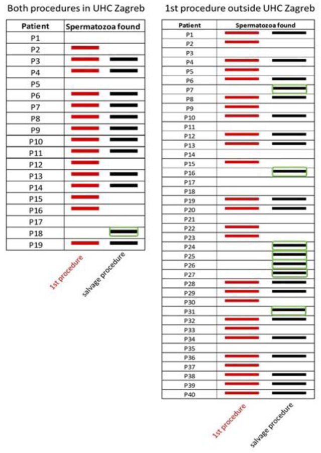 Testicular tissue bank: ten years of testicular tissue cryopreservation in Croatia.