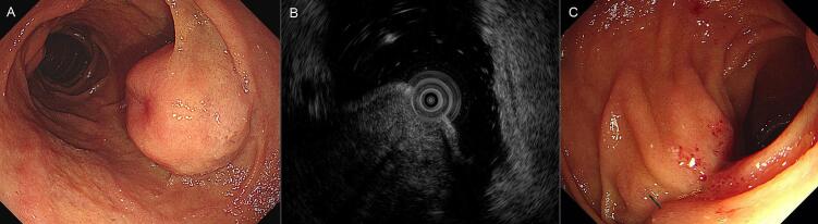 Abstract Image