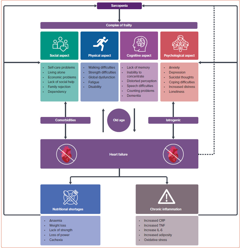 Frailty and Heart Failure: Clinical Insights, Patient Outcomes and Future Directions.