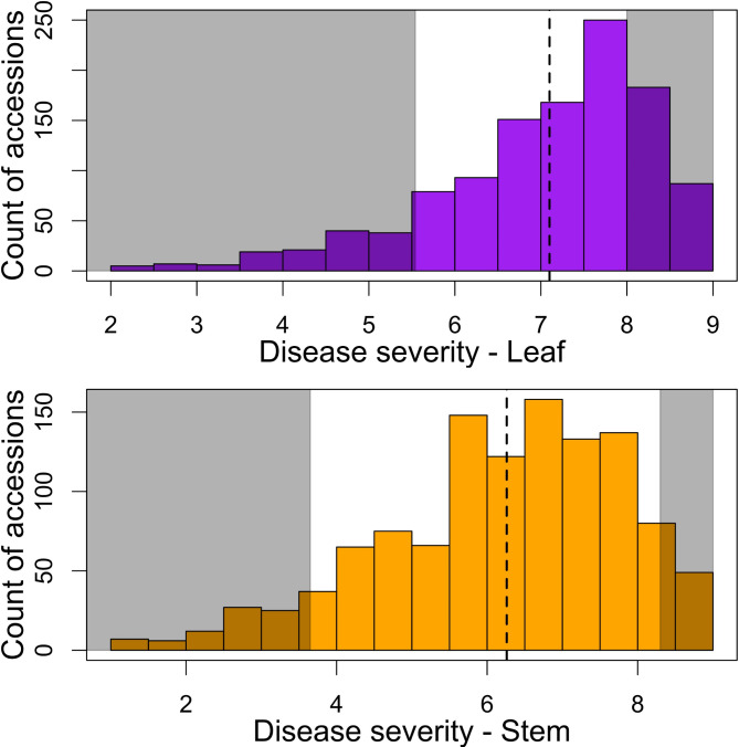 Extreme-phenotype genome-wide association study (XP-GWAS) of powdery mildew race 2 W tolerance in the USDA Citrullus germplasm collection.