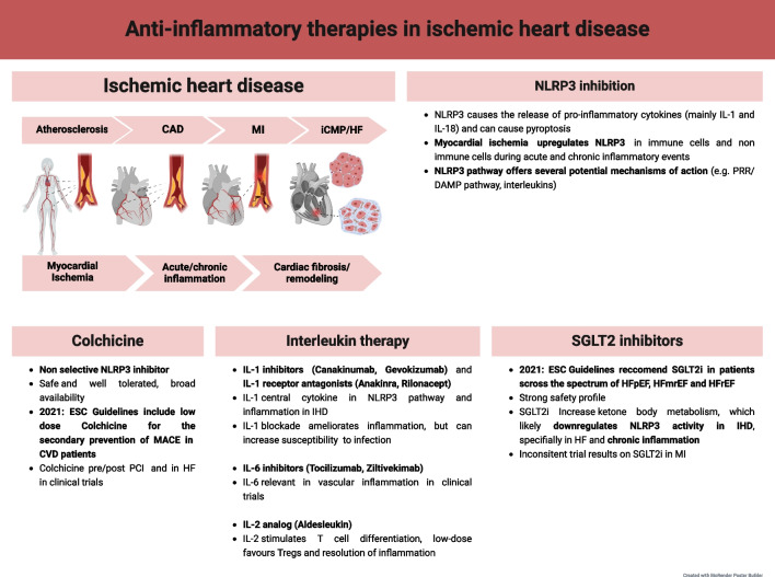 Anti-inflammatory Therapies for Ischemic Heart Disease.