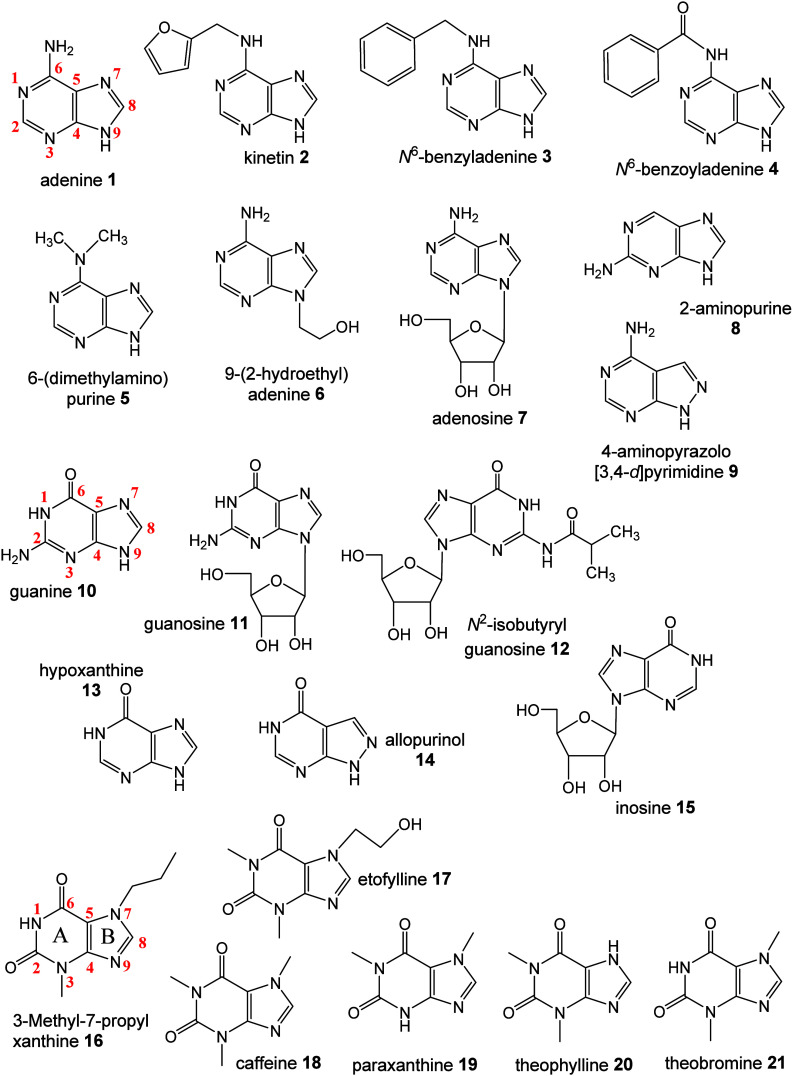 Structural Categorization of Adenine, Guanine, and Xanthine Derivatives Using Matrix-Assisted Laser Desorption/Ionization Mass Spectrometry with 5-Nitrosalicylic Acid and 1,5-Diaminonaphtalene.
