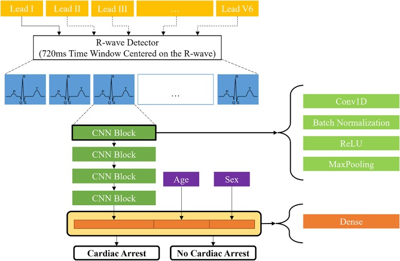 Sudden cardiac arrest prediction via deep learning electrocardiogram analysis.