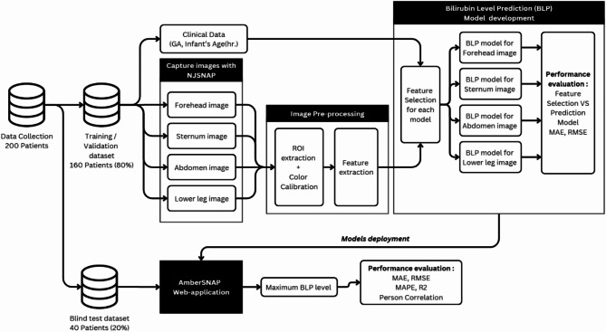 Feasibility study of texture-based machine learning approach for early detection of neonatal jaundice.