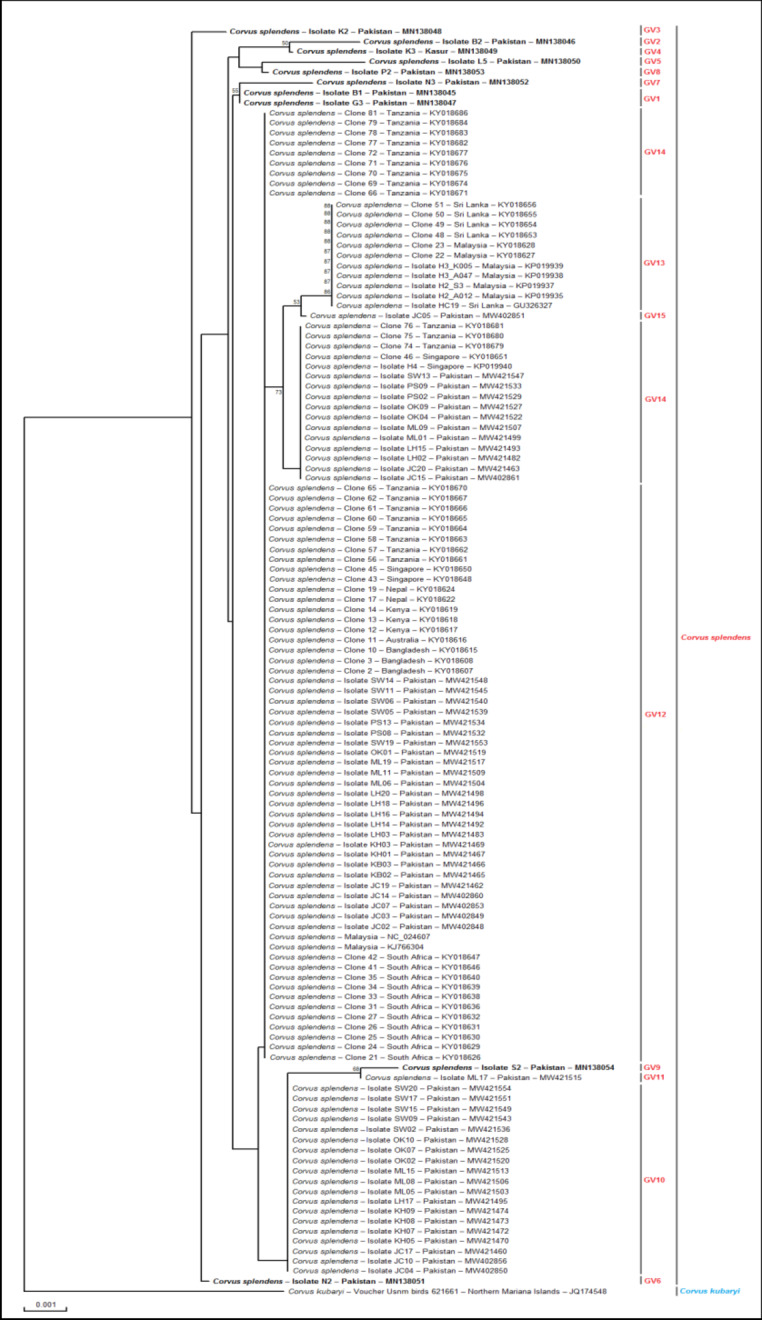 Genetic characterization and phylogenetic analysis of common house crows (Corvus splendens).